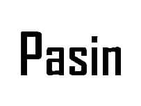 Pasin srl